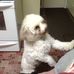 Sue Bruns - Facebook