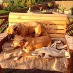 Sue Brunskill - @sue.brunskill.794 - Instagram