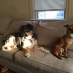 Sue Buchanan - Facebook