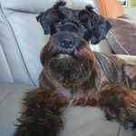 Sue Buchanan - @sue.buchanan.710 - Instagram
