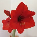 Sue Buchanan - @happysue15 - Instagram