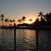 Sue Buchanan - @sue.buchanan8 - TikTok