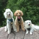 Sue Buck - Facebook