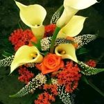 Bunch Sue - @sue.bunch.733 - Instagram