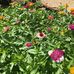 Sue Bunch - Facebook