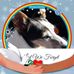 Sue Bunch - Facebook