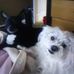 Sue Bunda - Facebook