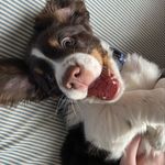 Sue Burden - @_momabear_ - Instagram