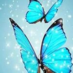 sue burden - @burden1085 - Instagram