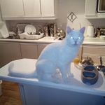 sue burden - @burden4335 - Instagram