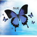 Sue Burden - @spokeysue - Instagram