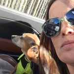 Sue Burnham - @chippingslou - Instagram