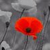 Sue Burnham - Facebook