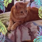 Susan Burnham - @sueburnham1946 - Instagram