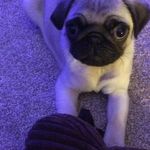 Sue Caley - @scaley15 - Instagram