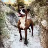 suemcaley - @wisewomansouthernutah - TikTok