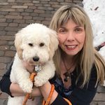 Sue Callaway - @susan_callaway - Instagram