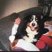 Sue Callaway - Facebook