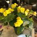 Sue Callaway - Facebook