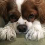 Sue Caputo - @sue_caputo - Instagram
