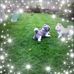 Sue Caton - Facebook