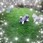 Sue Caton - @sue.caton.758 - Instagram