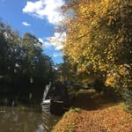 Sue Caton - @sooh2014 - Instagram