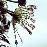 Sue Charles - @susan_charles_lifeandstyle - Instagram