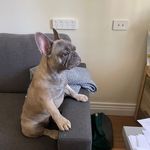 Sue Charles - @suecharles300 - Instagram