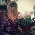Sue Chase - @sue8920 - Instagram