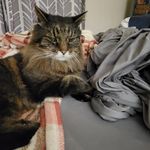 Sue Chase - @chasesue10 - Instagram