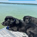 sue chase - @suechase3 - Instagram