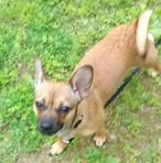 Sue Chase - Facebook