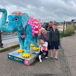 Sue Chase - @suechase123 - Instagram