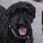 Sue Chase Malone - @grammiesue67 - Instagram