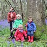 Sue Mansfield - @suecheeki - Instagram