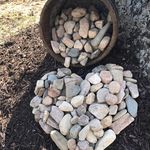Sue Chenault - @tpy8ty - Instagram