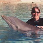 Sue Christopher - @sue.christopher.10 - Instagram