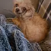 Sue Christopherson - @sue.christopherso - TikTok