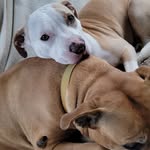 Sue Clanton - @sue.clanton.3 - Instagram