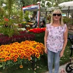 Sue Cleary - @susan.cleary23 - Instagram