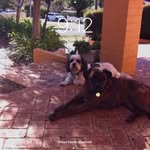 Sue Cleary - @cleary5139 - Instagram