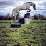 Sue Cleary - @cleary.sue - Instagram