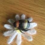 Sue Clements🐝 - @foxwoodandbees - Instagram