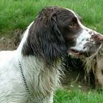 Sue Clements - @sue.clements1 - Instagram