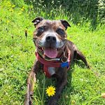 Sue Clements - @sue.clements.1422 - Instagram