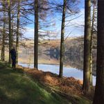 Sue Clements - @sue.clements27 - Instagram