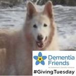 Sue Clements - @clements5086 - Instagram
