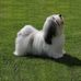 Sue Clements - Facebook