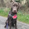 best mother 💪💪💪 - @sue.coates - TikTok
